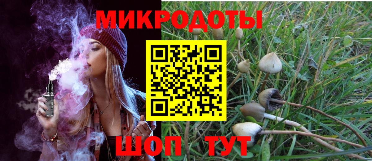 Сыктывкар  Галлюциногенные грибы GOLDEN TEACHER  Галлюциногенные грибы мицелий  Вход с VPN 