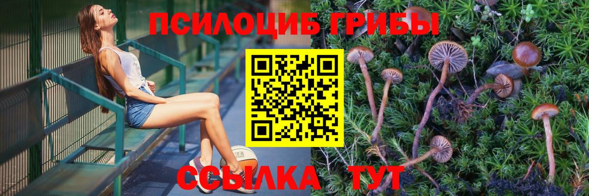 Галлюциногенные грибы Magic Shrooms Сыктывкар