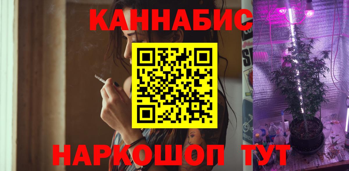 Сыктывкар  Бошки Шишки марихуана  Вход с VPN  Конопля сатива  Бошки Шишки Bruce Banner  Канабис план 